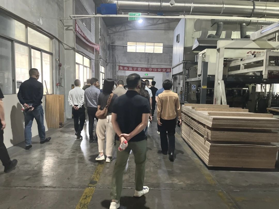 3cfdde92ce35ddd4a2018434fa697138